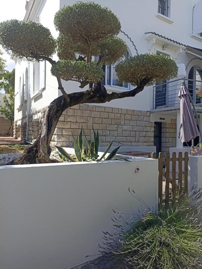 Chambres D'Hotes La Pastourelle Royan Centre Dış mekan fotoğraf